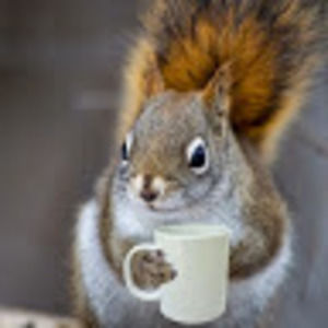 Meet your Posher, Shaun